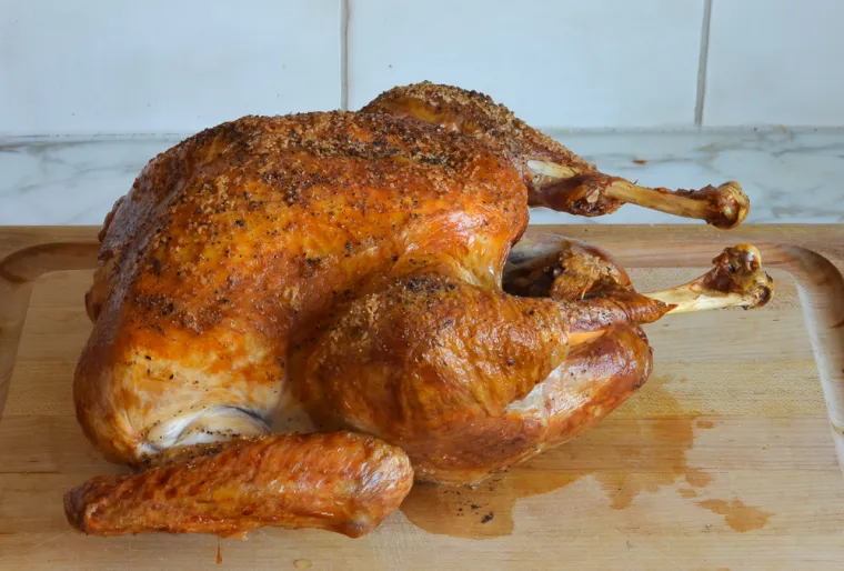 Easy High-Heat Roast Turkey with Gravy